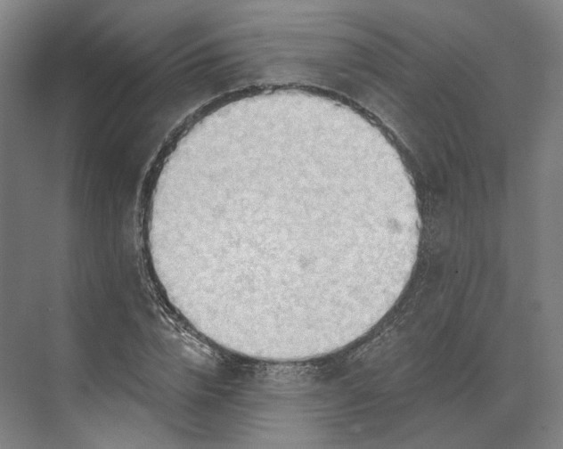 X0000073950832200609051750