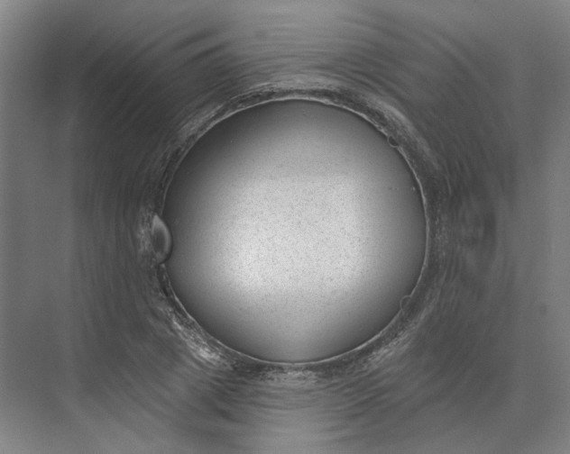 X0000073950833200609051750