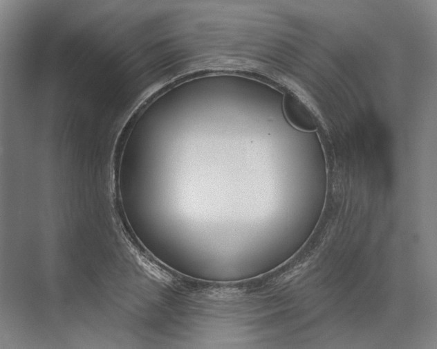 X0000073950837200609051750