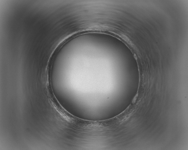 X0000073950838200609051750