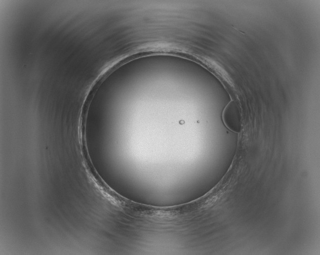 X0000073950839200609051751