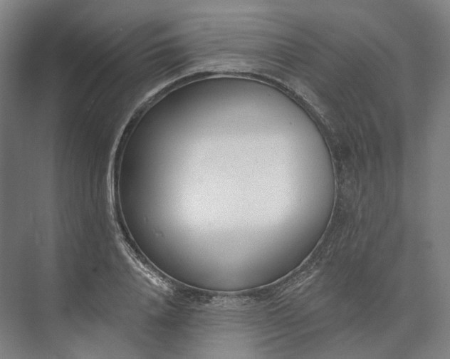 X0000073950840200609051751