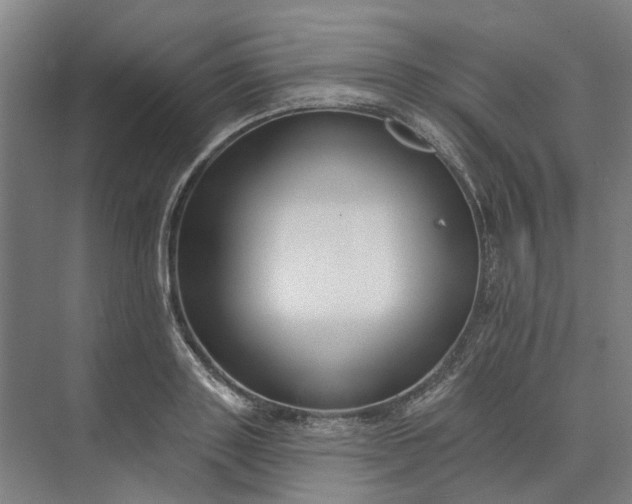 X0000073950843200609051751