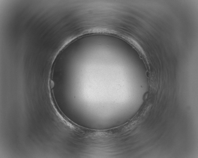 X0000073950847200609051751