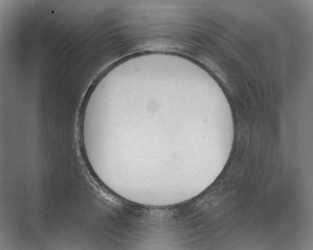 X0000073950848200609051751