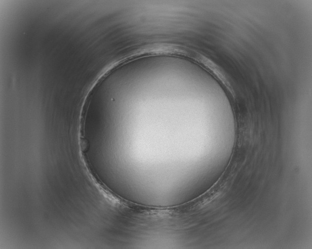 X0000073950853200609051751