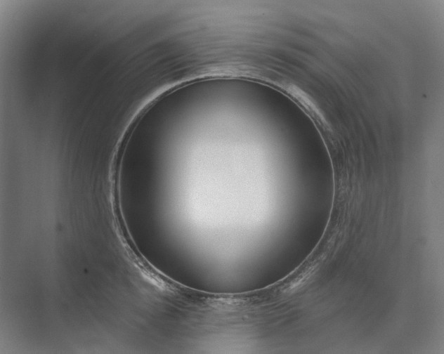 X0000073950854200609051751