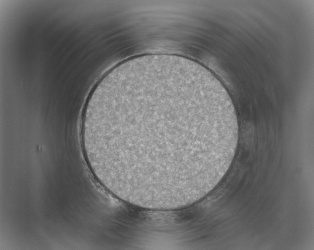 X0000073950856200609051751