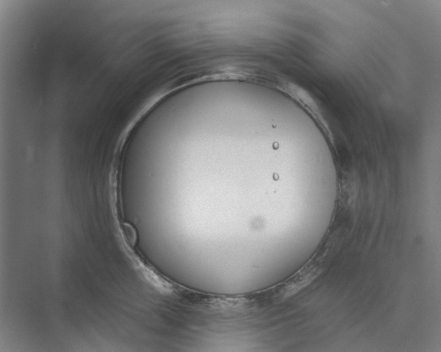 X0000073950859200609051751