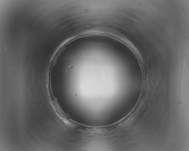 X0000073950862200609051751