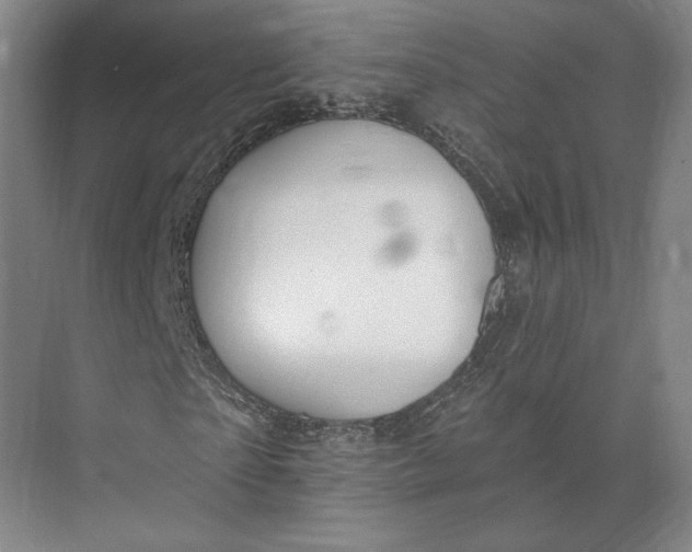 X0000073950865200609051750