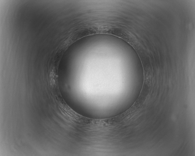 X0000073950866200609051750