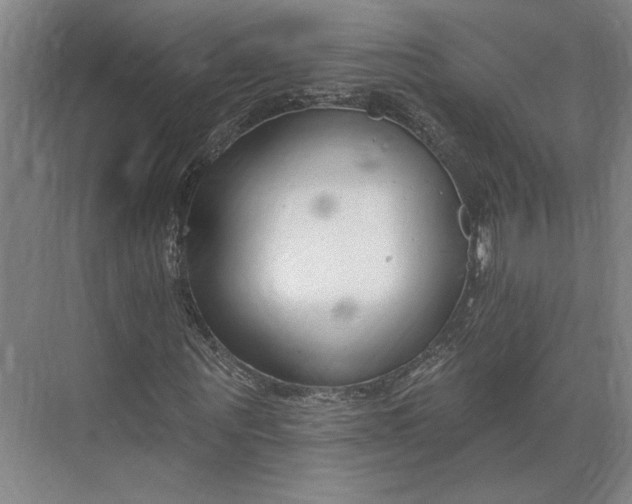 X0000073950867200609051750