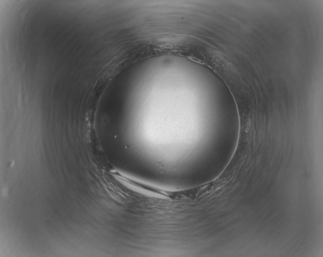 X0000073950868200609051750