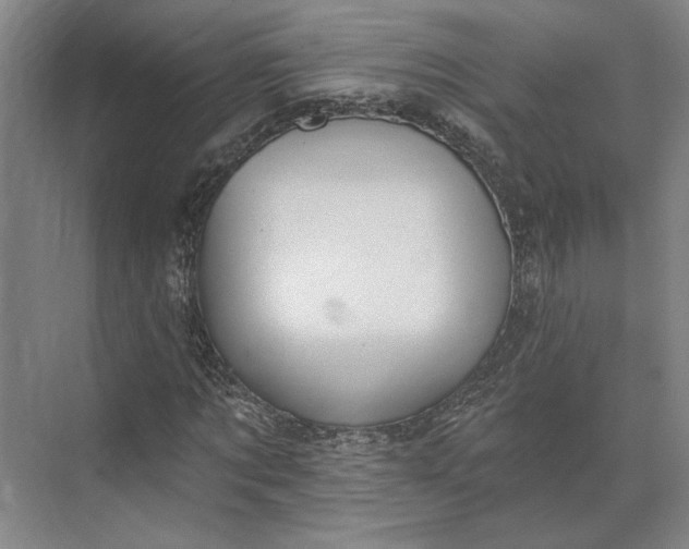 X0000073950869200609051750