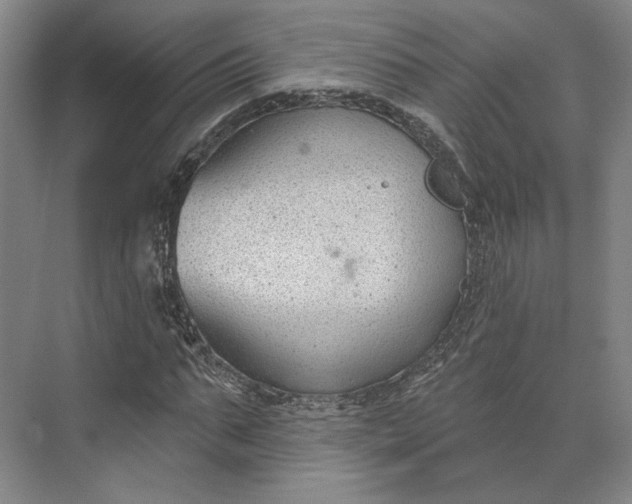 X0000073950871200609051750