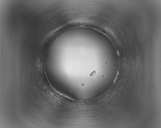 X0000073950872200609051750