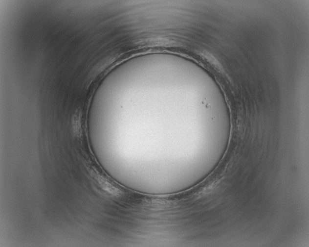 X0000073950873200609051750