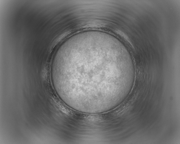 X0000073950874200609051750