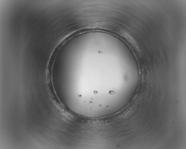 X0000073950876200609051750