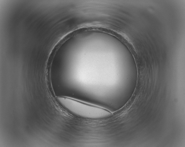 X0000073950879200609051750