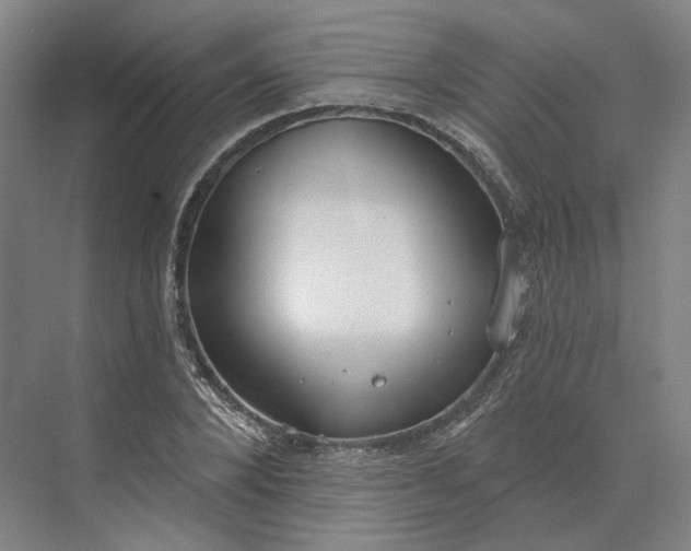 X0000073950880200609051750