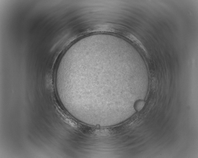 X0000073950882200609051750