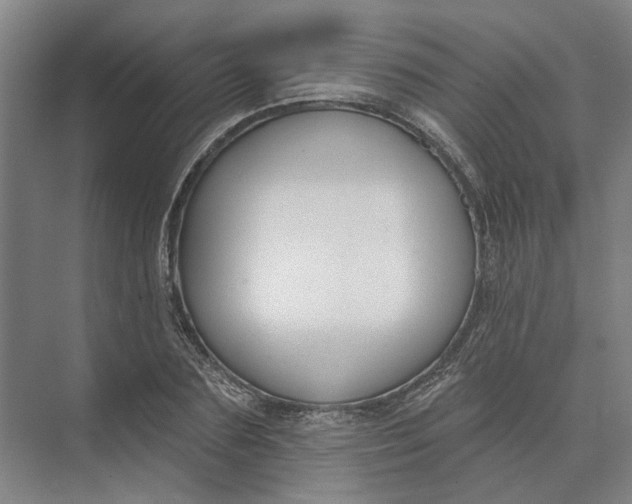 X0000073950883200609051750