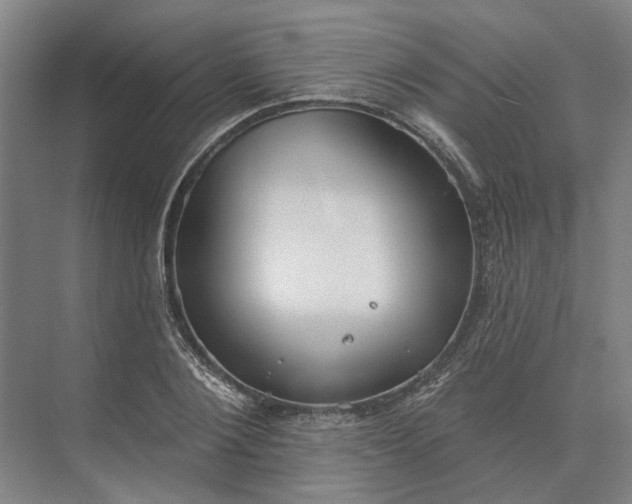 X0000073950884200609051750