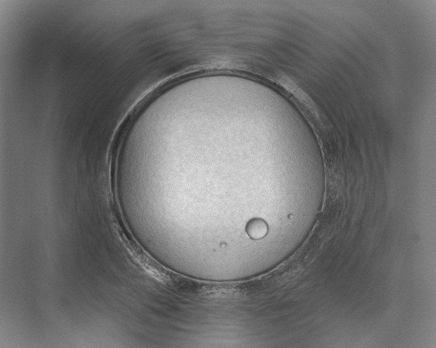 X0000073950886200609051750