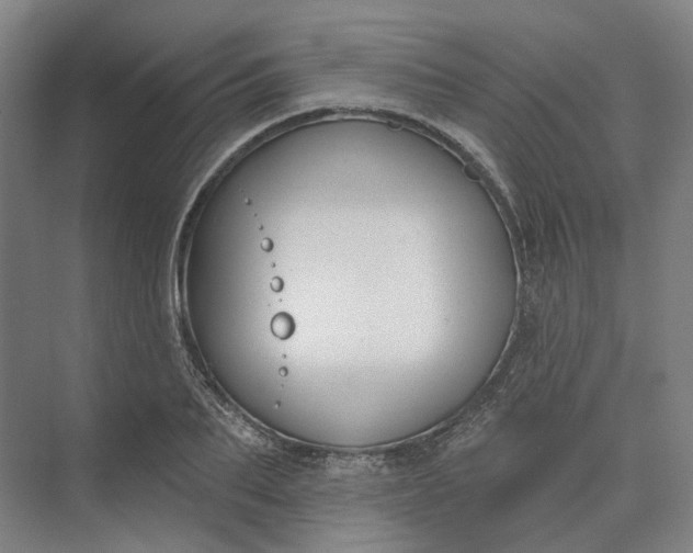 X0000073950887200609051750