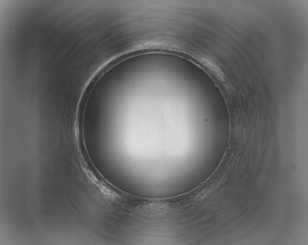 X0000073950888200609051750