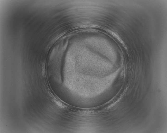 X0000073950889200609051750