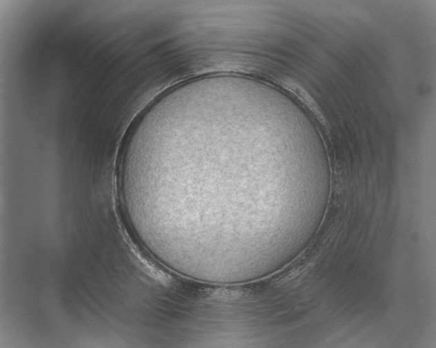 X0000073950890200609051750