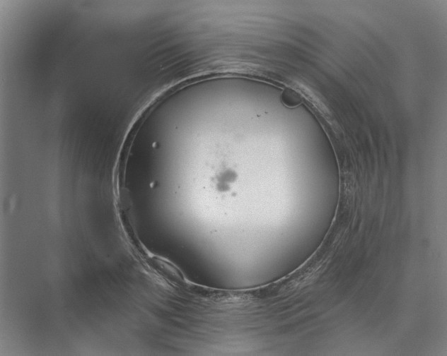 X0000073950891200609051750