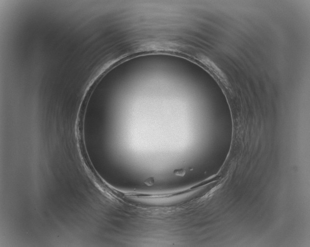 X0000073950893200609051750