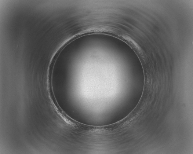 X0000073950894200609051750