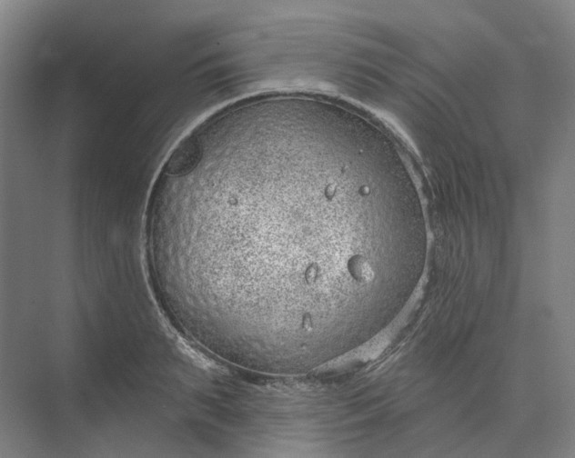 X0000073950895200609051750