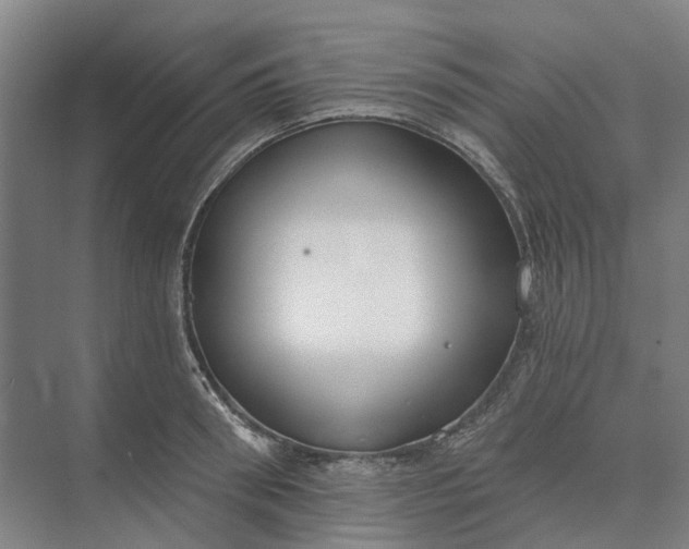 X0000073950898200609051750