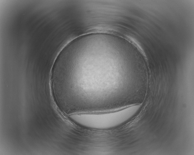 X0000073950899200609051750