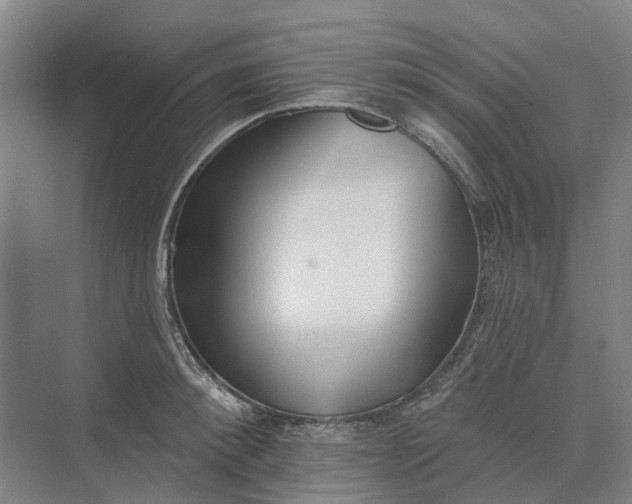 X0000073950900200609051750