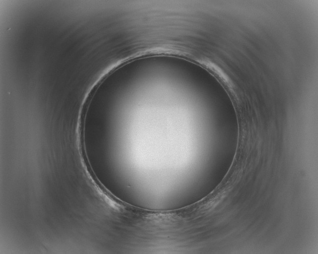 X0000073950902200609051749