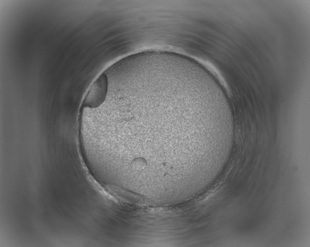 X0000073950903200609051749