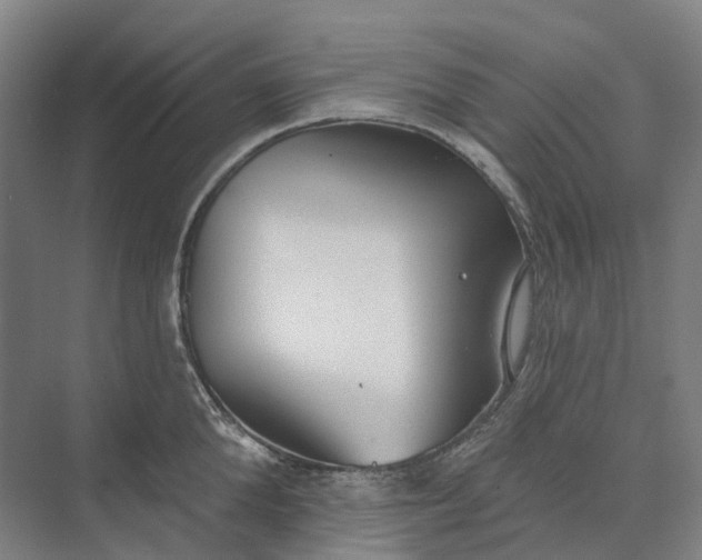 X0000073950904200609051749