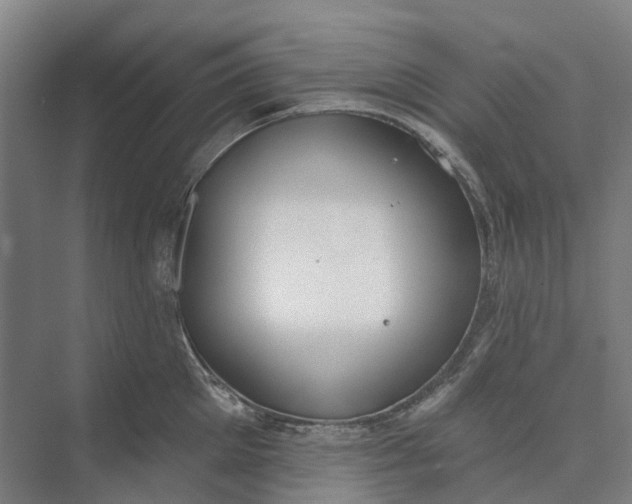 X0000073950905200609051749