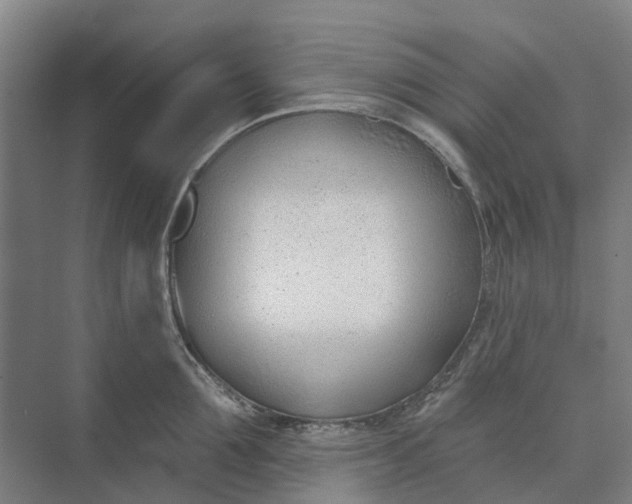 X0000073950907200609051749