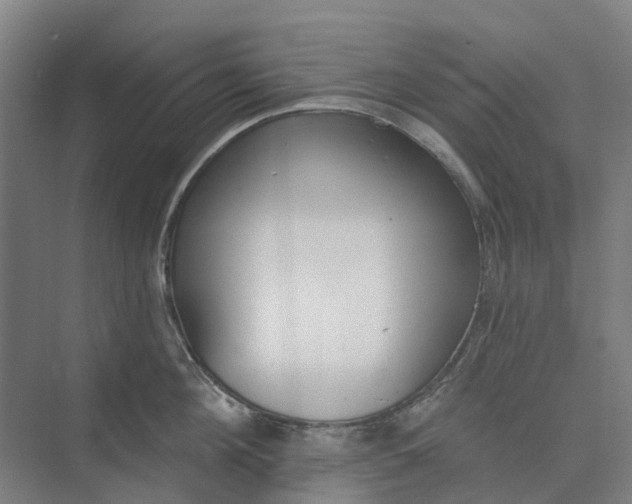 X0000073950908200609051749