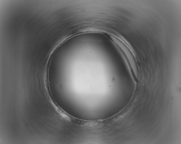 X0000073950909200609051749