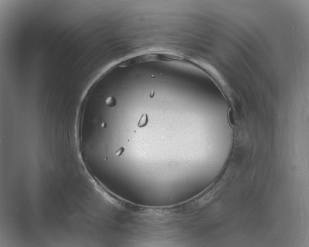 X0000073950910200609051749