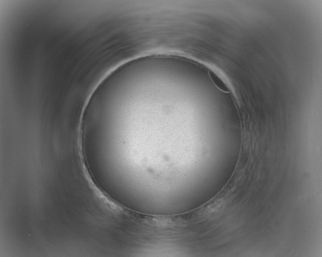 X0000073950911200609051749